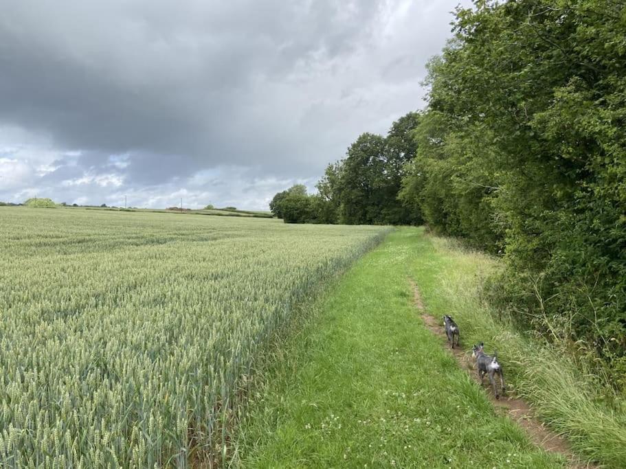 Coach House - Detached Cottage Within 135 Acres Bromyard Exterior foto